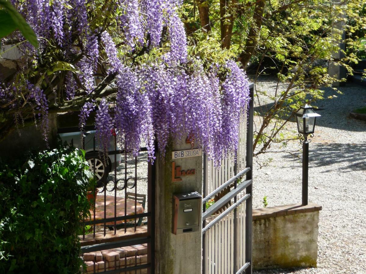 B&B Selisa Bene Vagienna Exterior foto